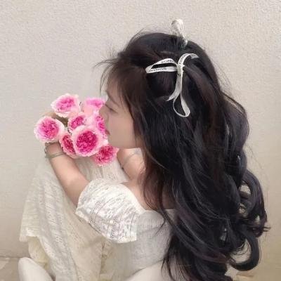 终极制裁者